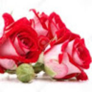 Meet your Posher, Magali